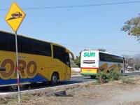Grupo ORO y Autobuses Sur 