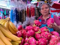 Pitahaya 