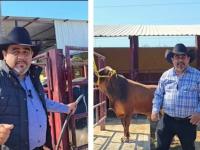 Edil de Izúcar compra toros