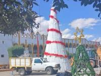 El “elote navideño”