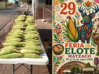 Feria del Elote en Matzaco