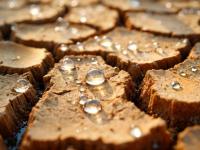 Suelo erosionado con gotas de agua 