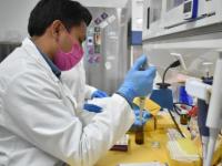 En la BUAP, estudian cannabinoides para tratamiento de epilepsia