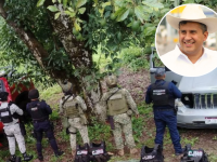 Fuerzas armadas en operativo vs el narco: imagen ilustrativa