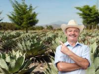  ¿Eres productor mezcalero Así puedes obtener la certificación en Puebla