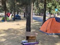 Casa de campaña en medio de camellón con árboles 