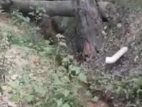  Descarga de drenaje