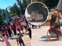 Aspectos de la fiesta en la UTP con cerveza Tecate Cero