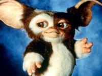 Gremlins regresa al cine con nueva historia, ¿cuándo estrena?