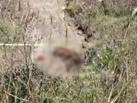 Hallan cadáver en brecha cercana al Río San Isidro, en San José Chiapa