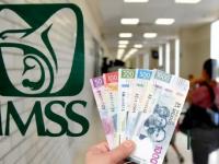 Evita que el IMSS suspenda tu pensión: actualiza tus datos y verifica tu estatus