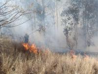 Incendio 
