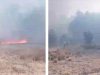 Incendio en San Miguel Tecuitlapa