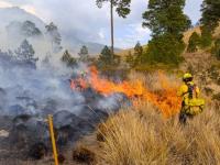 Incendio en Puebla de enero de 2026