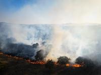 Aspecto de un incendio en la ciudad de Puebla