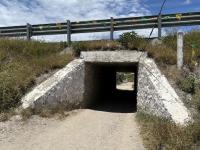 18 de Marzo de Tehuacán,