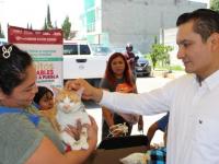 Secretario del Medio Ambiente Iván Herrera acaricia un gato 