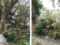Lluvias en Texmelucan 