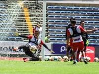 Foto Lobos BUAP