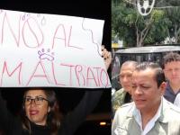 Maltrato animal