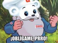 Imagen tomada de Twitter