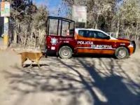 Ministeriales confunden a obrero con agresor