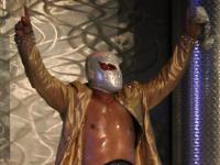 El Rey de Plata y Oro, Místico, hizo causa común con Neón y Templario