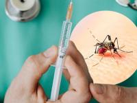 mosquito dengue Puebla