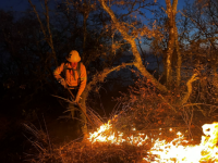 Elemento del servicio de emergencia sofocando un incendio en zona forestal