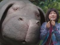 Okja abre ciclo de cine gratuito en el CCU durante enero