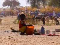 Niño busca alimento en una cubeta en un campamento de desplazados en El Fasher, capital del estado sudanés de Darfur del Norte - 9 de julio de 2025
