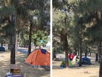 Pagaremos 40 pesos de albergue a familias que acampan afuera del HNP: Armenta