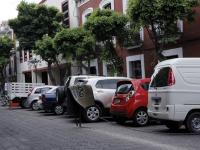 Foto Agencia Enfoque