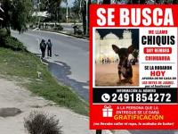 Buscan a "Chiquis"