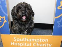 Foto: Facebook Southampton Hospital Charity UK