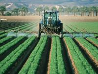 Foto / LaReserva.com