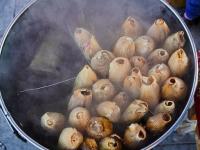 Tamales: ilustrativa