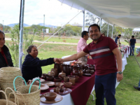 Verbena Popular del Mole de Caderas 