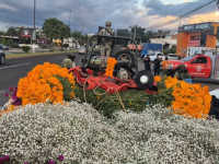 Cempasúchil en Atlixco