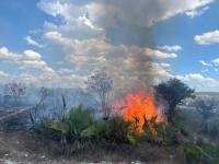 Incendios forestales