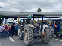 Productores de maíz