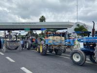 Productores de maíz