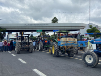 Productores de maíz exigen frenar transgénicos y mejor precio