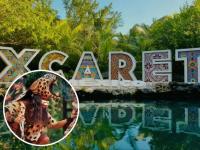 Logo de Xcaret con persona con indumentaria maya al frente 