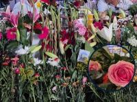 Rosas