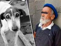 imagen de perro con adulto mayor detenido a un lado 