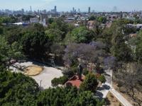 Foto aérea del Parque Juárez, donde instalarán el cablebús y quitarán más de una centena de árboles maduros