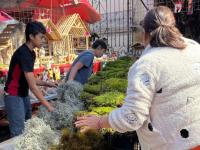 Tehuacán mantiene venta de especies protegidas pese a operativos navideños