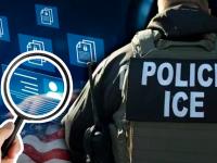 Datos entregados a ICE
