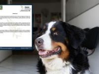 Veterinario denuncia